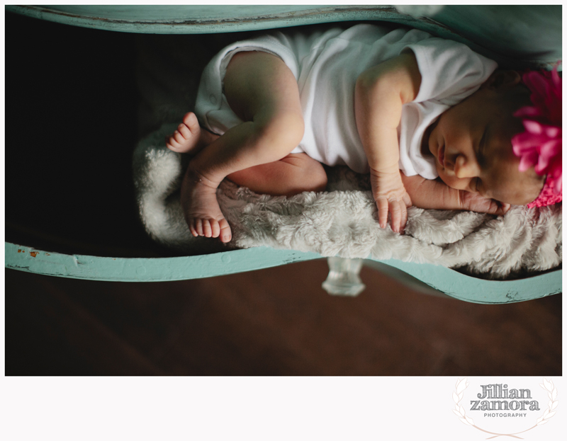 denton lifestyle newborn photography _ 01