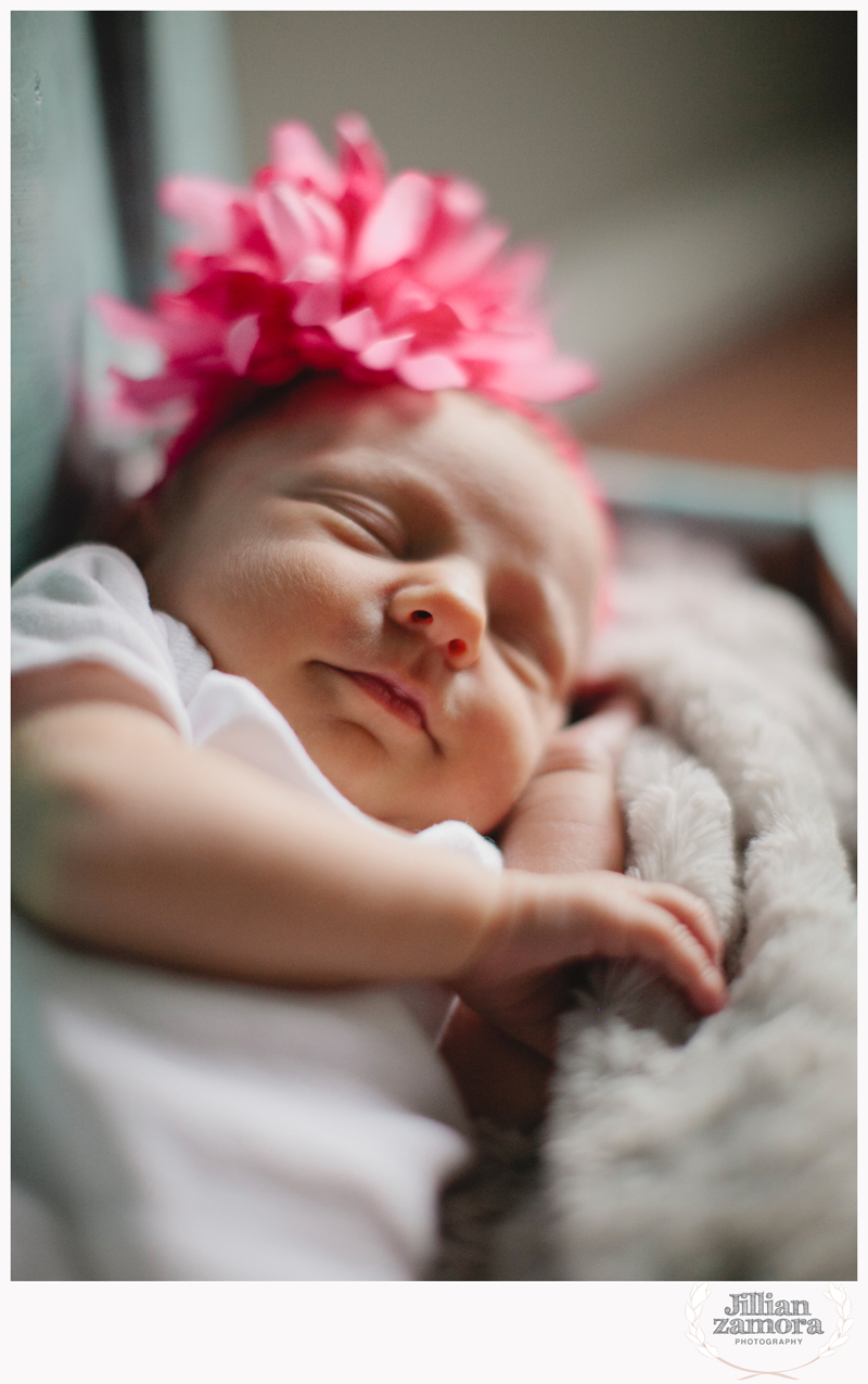 denton lifestyle newborn photography _ 02