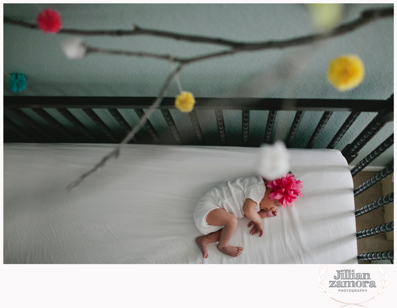 denton lifestyle newborn photography _ 05