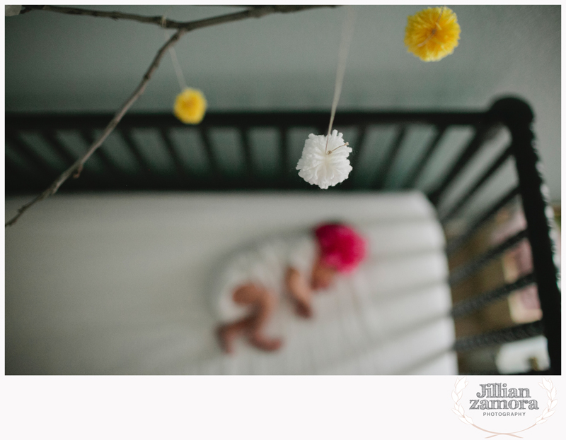 denton lifestyle newborn photography _ 06