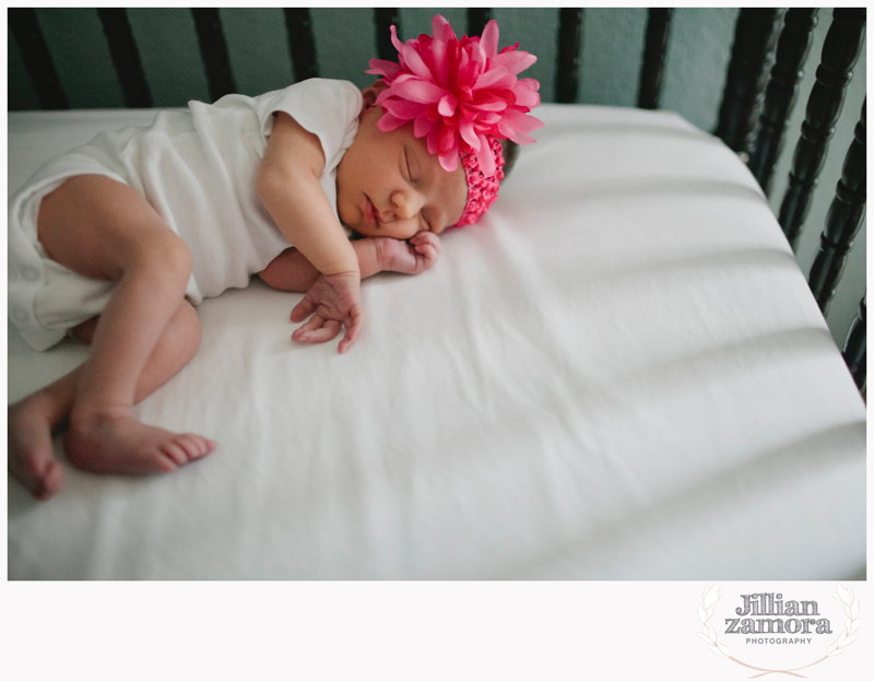 denton lifestyle newborn photography _ 08