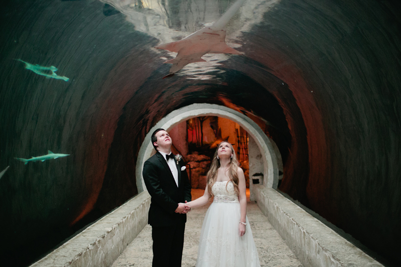 dallas world aquarium wedding _001