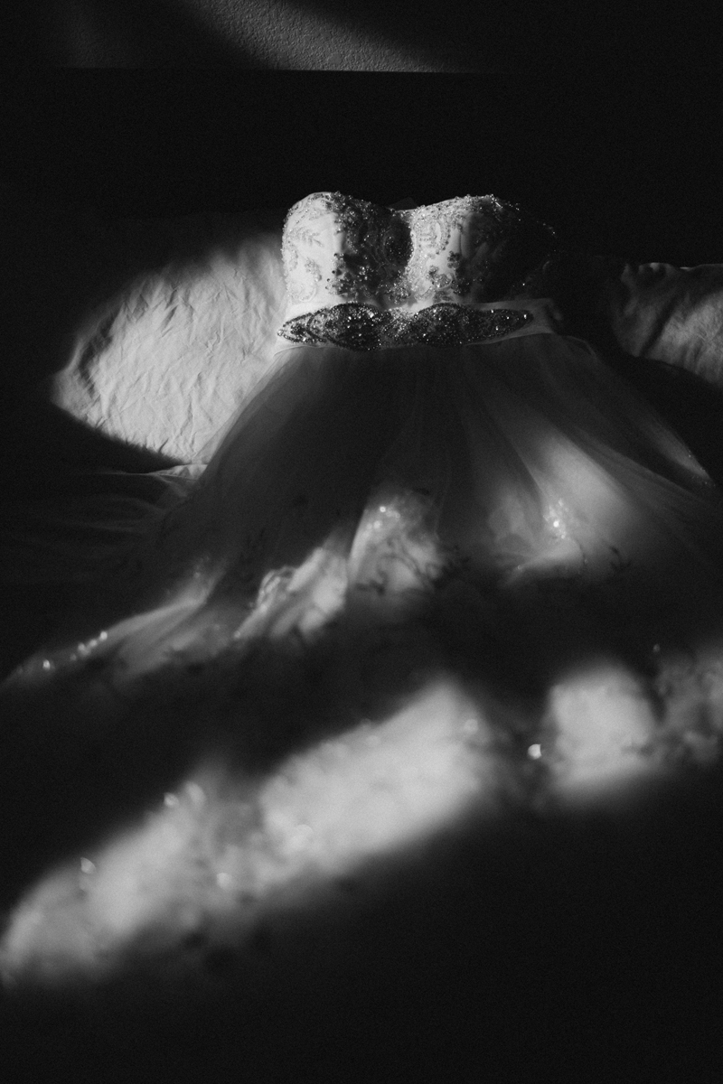 dallas world aquarium wedding _002