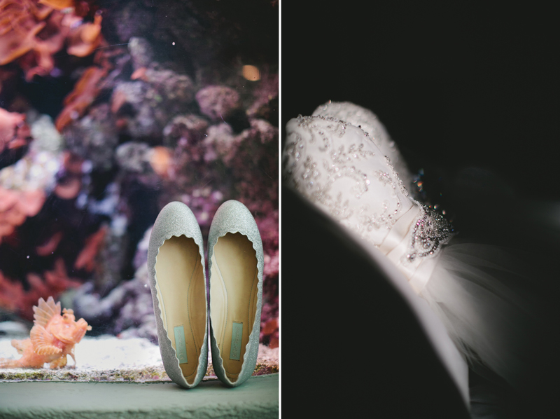 dallas world aquarium wedding _003ab
