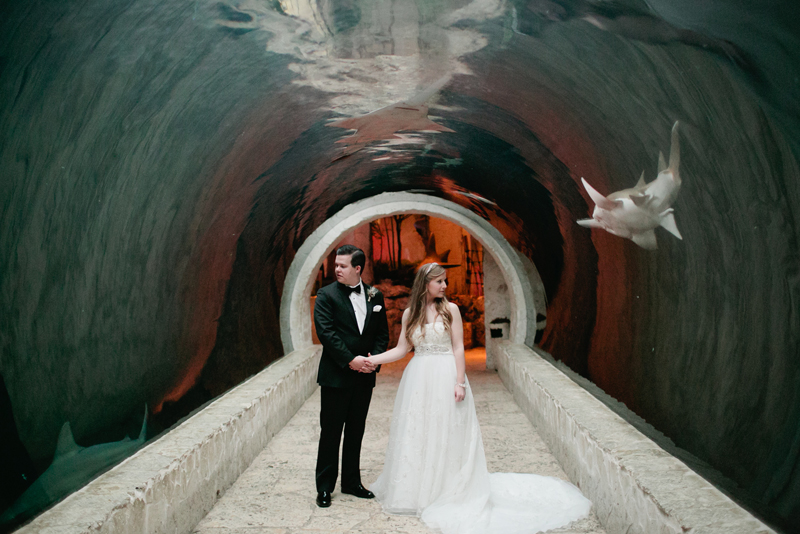 dallas world aquarium wedding _040