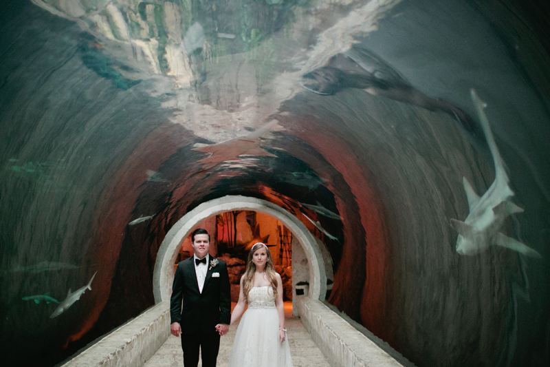 dallas world aquarium wedding _041