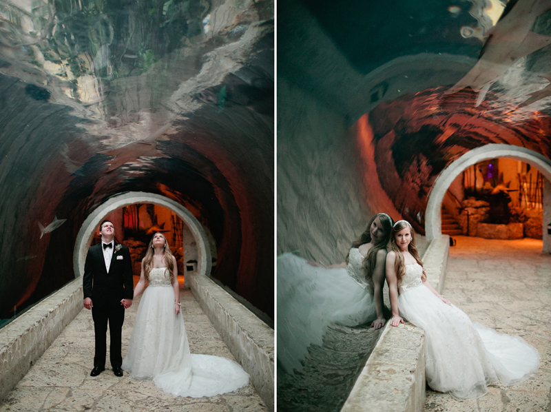 dallas world aquarium wedding _047ab