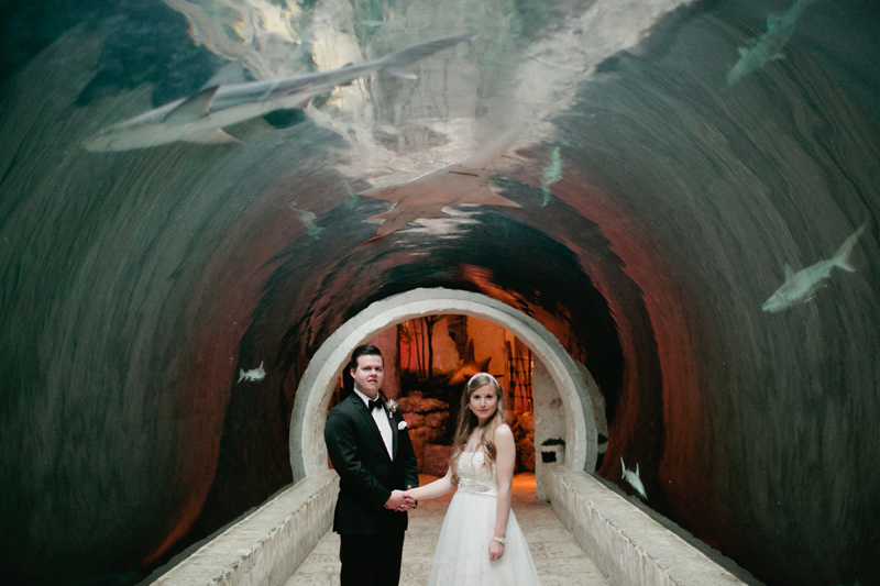 dallas world aquarium wedding _051