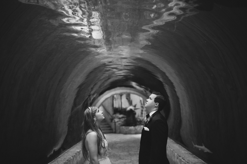 dallas world aquarium wedding _064