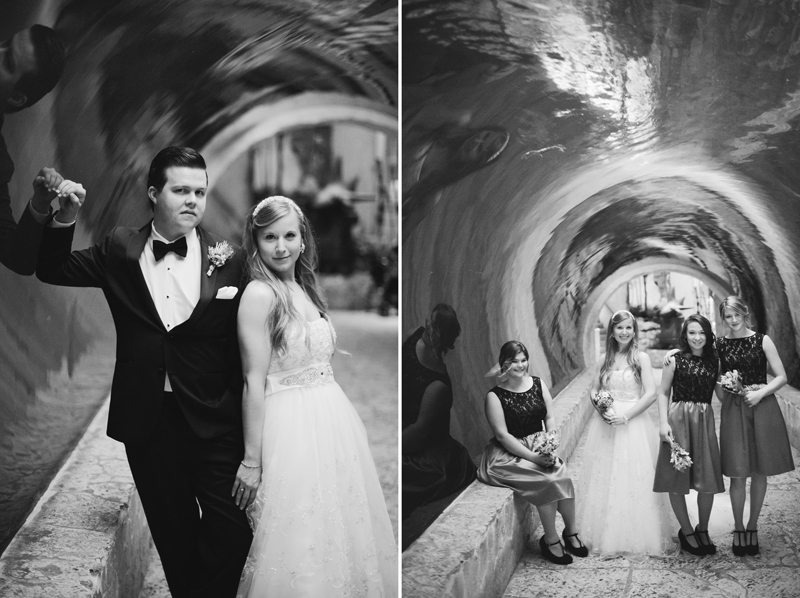 dallas world aquarium wedding _065ab