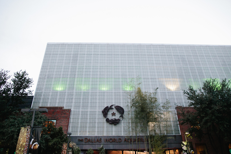 dallas world aquarium wedding _067