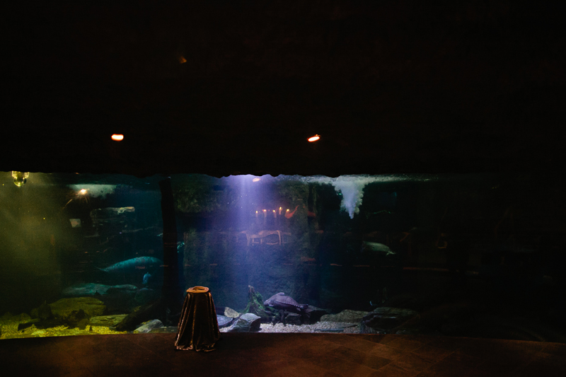 dallas world aquarium wedding _078