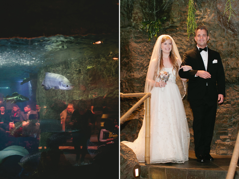 dallas world aquarium wedding _082ab