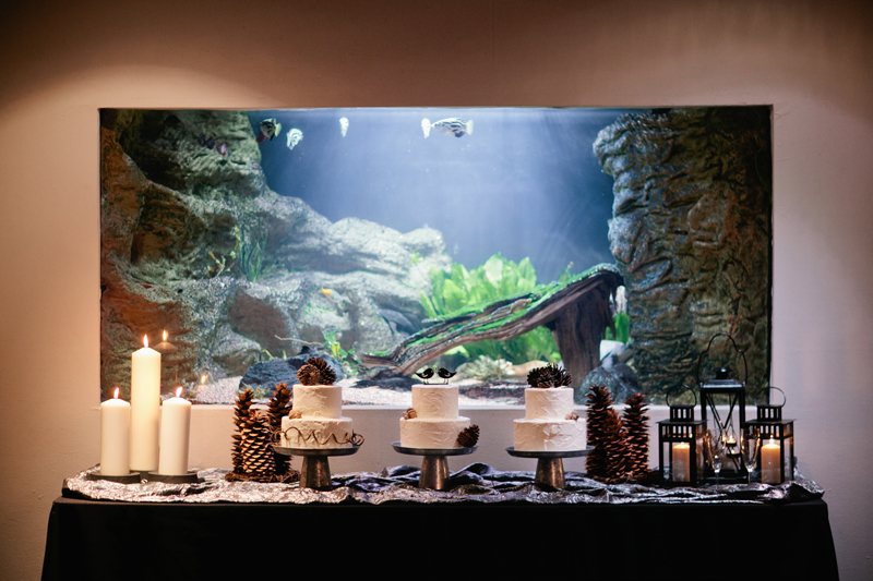 dallas world aquarium wedding _094