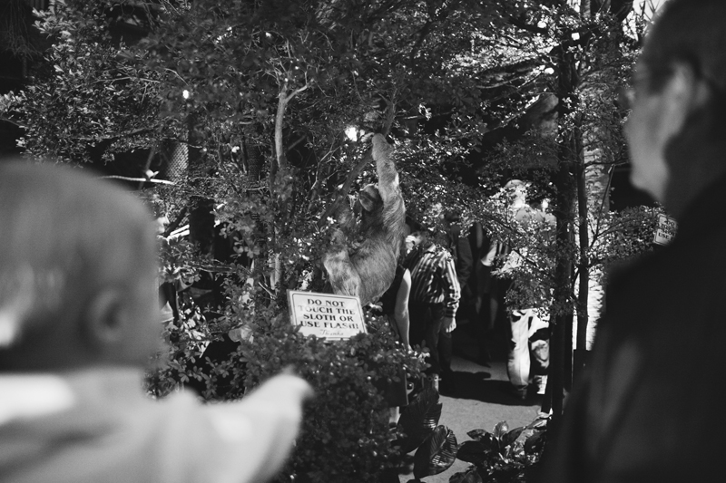 dallas world aquarium wedding _095