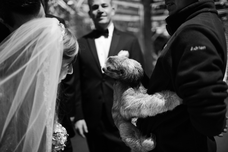 dallas world aquarium wedding _098 (1)