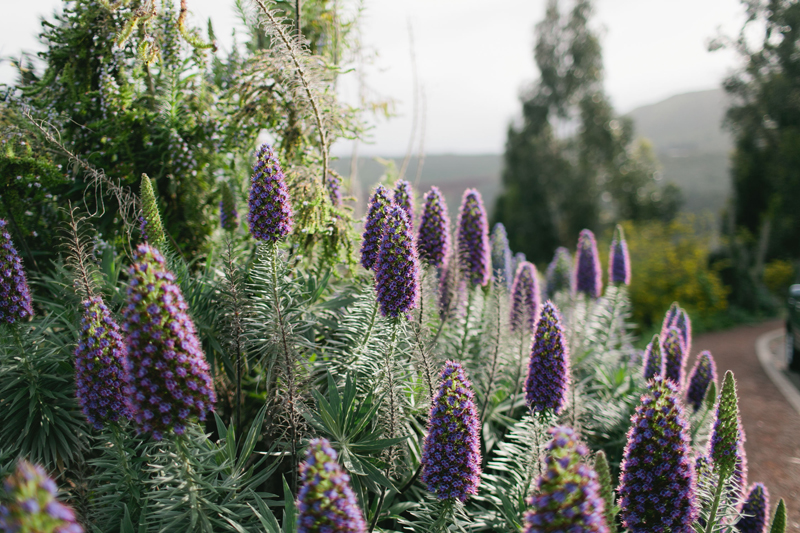 san francisco wedding photographer_49
