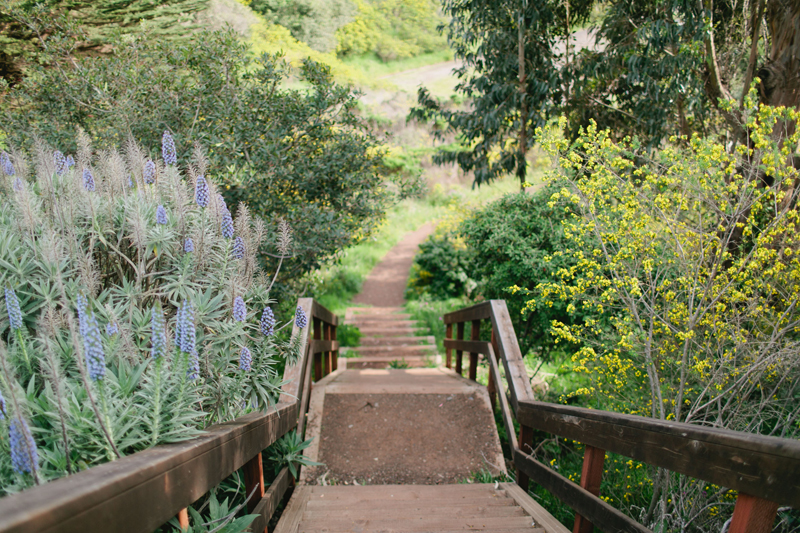 san francisco wedding photographer_50