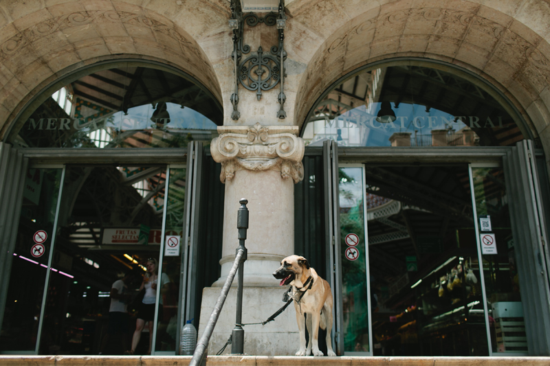 denia lifestyle photographer_073