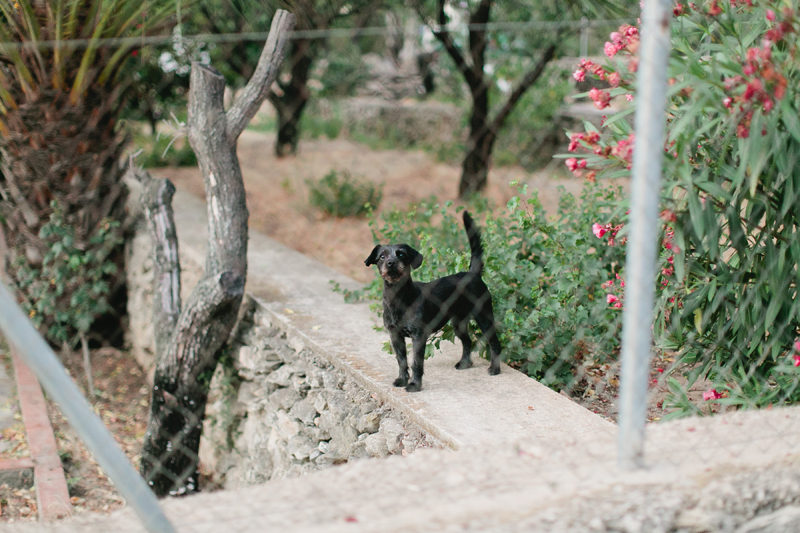 denia lifestyle photographer_098