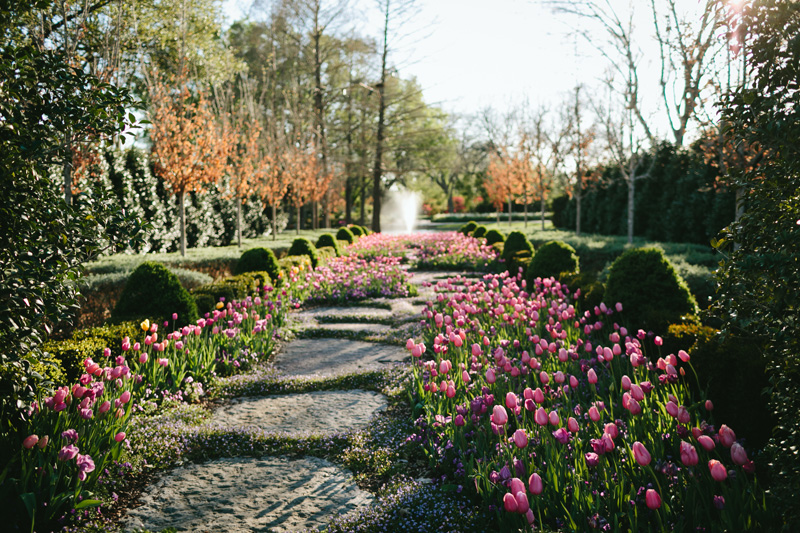 dallas arboretum wedding photographer_047